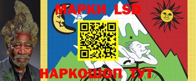mdpv Заводоуковск