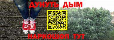 mdpv Заводоуковск