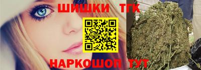 индика Заволжье