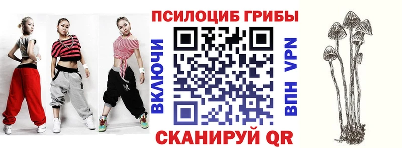 Галлюциногенные грибы GOLDEN TEACHER  Людиново 
