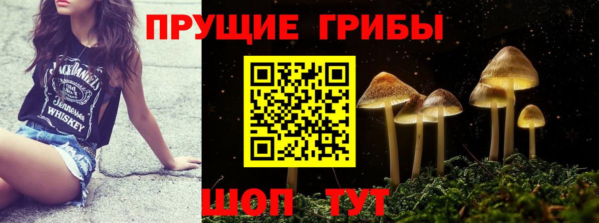 Людиново  Галлюциногенные грибы Cubensis  Псилоцибиновые грибы Psilocybe  Вход с VPN 